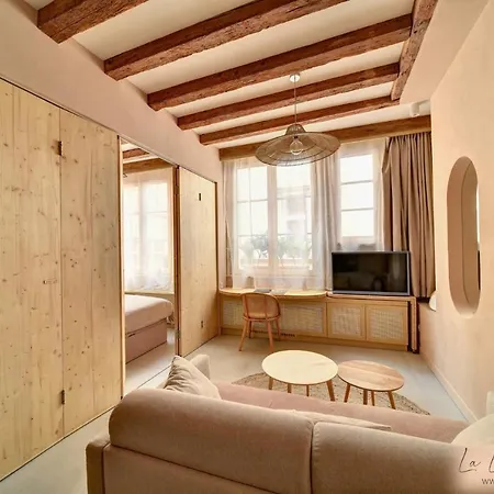 דירה La Loge Du Reveur - - Vieux-lyon