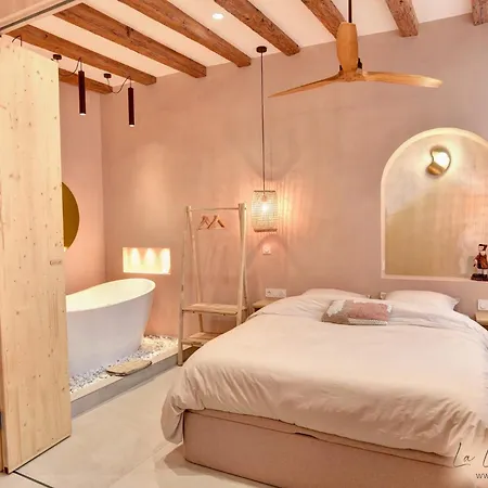 La Loge Du Reveur - - Vieux-lyon Apartmán